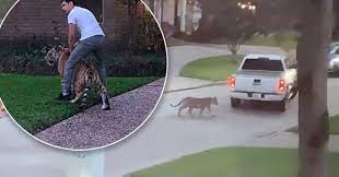 Nbc's morgan chesky reports for today from houston. Tdpkwfbnn5rj4m