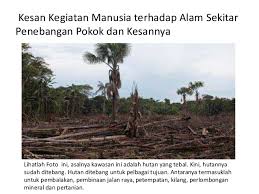Penebangan hutan secara meluas dan berleluasa, ditambah dengan pembakaran secara terbuka untuk melakukan aktiviti guna. Geografi Tingkatan 1 Kesan Kegiatan Manusia Terhadap Alam Sekitar