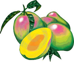 Gambar buah mangga madu gambar pedia via gambarpedia.org gambar kartun buah lucu aneka jenis buah buahan segar animasi via gambarzoom.com contoh gambar sketsa pohon dengan pensil yang sederhana dan mudah via mubawa.com gambar bunga gadung pickini via pickini.blogspot.co.id planet terasi via terasi2.rssing.com sketsa gambar pohon mangga garlerisket via galerisket.blogspot.com 0812 985. Intan Himax Intanhimax Profil Pinterest