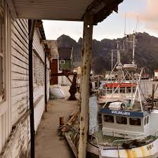 Ammoniakgeruch ist nicht nur unangenehm, sondern kann auch wir ein unangenehmer ammoniakgeruch bemerkt, so sollte schnell gehandelt werden. Die Italiener Und Ihr Stockfisch Ende Der Trockenzeit Der Spiegel