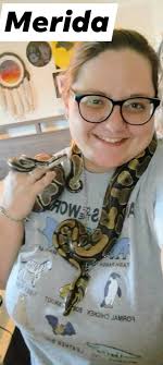 Best enclosure substrate heating for baby Burmese pythons?