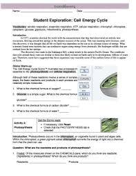 Mitosis worksheet before learning about mitosis and the cell cycle, it is important that students have a firm understanding of. Student Exploration Cell Energy Cycle Answer Key Fill Online Printable Fillable Blank Pdffiller
