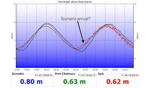 Effects Of Tsunami Apparent Otago Daily Times Online News