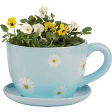 Buy Ceramic Daisy Tea Cup And Saucer Planter At Argos Co Uk Your Online Shop For Garden Decoration And Landscaping Pl Tea Cup Planter Teacup Gardens Tea Box