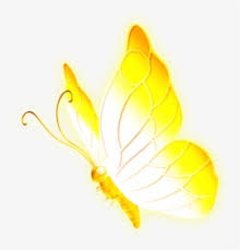 Flying Butterfly Images Png Images Free Transparent Flying Butterfly Images Download Kindpng Download this design of colorful butterfly material, butterfly, colorful, animals transparent png or vector file for free. flying butterfly images png images