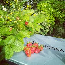 Epingle Sur Vertika Potager Vertical Pour Balcon Et Jardin