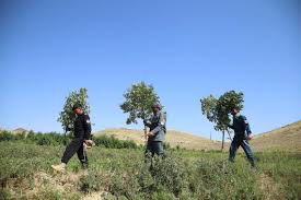 Toma nota de los recientes avances en la lucha contra la producción de opio y de la reducción de esa producción, sigue preocupado por el grave perjuicio que el cultivo de la adormidera y la producción, el tráfico y el consumo de opio siguen causando a la seguridad, el desarrollo y la gobernanza en el afganistán, así como a nivel regional. La Onu Pide Mas Apoyo Para Afganistan Productor Del 84 Del Opio Mundial Hola News