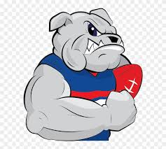 Western afl fans grieve over the death of beloved footy mascot sid the bulldog. 2017 Afl Pre Season Preview Western Bulldogs Cartoon Bulldog Afl Free Transparent Png Clipart Images Download