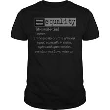 Definition Of Equality Equal Rights Shirt Hoodie Sweater And V Neck T Shirt T Shirt Shirts Hoodie Shirt