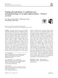 Image result for Psydrax mutimushii