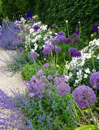 June Planting Soft Planting With A Repeat Of Rosa Kew Garden Plants Kew Gardens Clematis