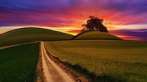 4k nature wallpaper 1080p for desktop. Royalty Free Nature Wallpaper Photos Free Download Piqsels