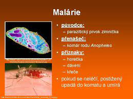 Malárie je jedno z nejzávažnějších infekčních onemocnění, které si ročně vyžádá přes půl milionu lidských životů. Globln Problmy Lidstva Sociln Problmy Problm En Epidemi