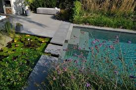 We did not find results for: Pin On Pools Naturpools Schwimmteiche