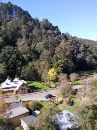 He was served with an open warrant for driving while license revoked and charged with two counts trafficking in. Old Walhalla Post Office Museum Main Street Walhalla Vic 3825 Australia