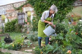 Also, it's a very important to note the water requirements of the specific type of plant you're growing. Learn How Often To Water Vegetable Garden With This Guide On Watering Vegetable Garden