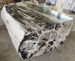 Petrified Wood Furniture Petrified Wood Petrified Wood Table Wood