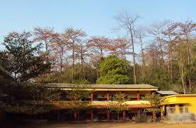 Palayathu Vayal Government Upper Primary School - Wikipedia
