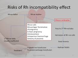 Rhesus Incompatibility