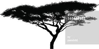 We did not find results for: A Flat Topped Acacia Tree From The Serengeti In Tanzania African Tree Acacia Tree Tree Silhouette