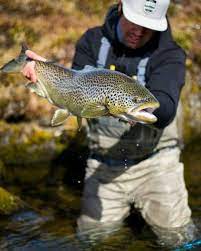 Bluehalogear Since We Are Here In Iceland I Might As Well Bluehalogear Since We Are Here In Iceland I Might As Well T Fly Fishing Fish Orvis Fly Fishing