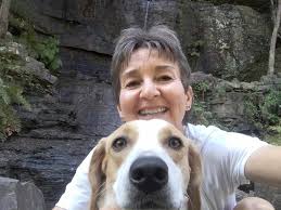 The main reason why I started volunteering was to be able to work with the  dogs, which I absolutely love. To see how happy they are when we take them 