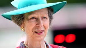 Princess Anne in hospital with minor head injury after suspected horse  incident