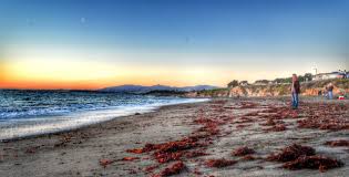 These fish tacos are so good that you'll likely even find seafood haters loving them! 5 Family Days In Slo Cal San Luis Obispo County California Usa