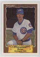 Steve Roadcap Baseball Cards