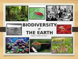 Biodiversity Of The Earth And Threats To Biodiversity Powerpoint Presentation Biology Worksheet Biodiversity Biology Foldables