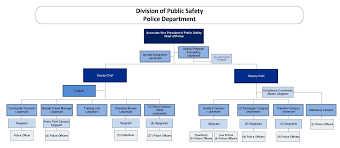 An organizational chart is a diagram that visually conveys a company's internal structure by detailing the roles, responsibilities, and relationships between individuals within an entity. Organizational Chart Division Of Public Safety