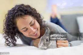 1,196 The Woman And The Hare Stock Photos, High-Res Pictures, and Images