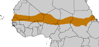 Map Of The Sahel Region The Ecoclimatic And Biogeographic Zone Of Transition In Africa Between The Sahara Desert To The North A Africa Africa Map Sahel Region