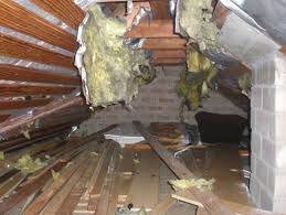 Marder besiedeln vorzugsweise den dachboden, wenn sie sich im haus niederlassen. Den Marder Auf Dem Dachboden Wieder Loswerden Bauen De