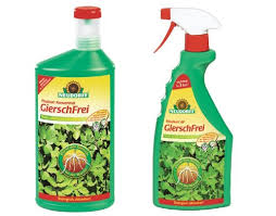 So bekämpfen sie zinnkraut im garten. Unkraut Ackerschachtelhalm Bekampfen Was Hilft