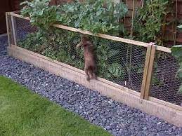 Flower Bed Edging Price Flowerbedideas Fenced Vegetable Garden Diy Garden Fence Garden Fencing