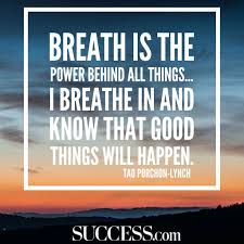 19 Calming Quotes To Help You Stress Less Success You'll discover quotes by dalai lama, plato the goal is these 130 stress quotes is simple: success magazine
