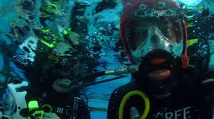 Nemo S Garden 2017 Harvest Oceanreefgroup Oceanreef Nemosgarden Nemo Underwatergarden Harvest Greenhouse Nemo Harvest Garden