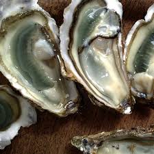Huitres Marennes Oleron Marennes Oleron Ile D Oleron Huitres