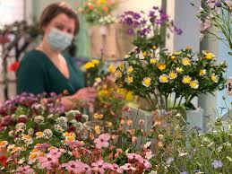 The dao gets drained to a safe place! Sebnitzer Blumenmadchen Photos Facebook