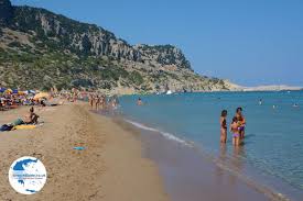 Image result for Thamnosma rhodesica