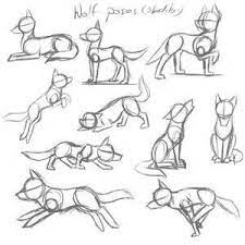 .remember to bookmark this page to come back to often. Cat Drawing Reference Pose Bing Images Bing Cat Drawing Images Pose Reference Drawings Animal Drawings Art Inspiration Drawing