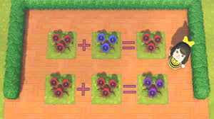 With the new update in animal crossing pocket camp, you can plant flowers in your garden. How To Make Purple Pansies Acnh Animal Crossing New Horizons Switch Game8