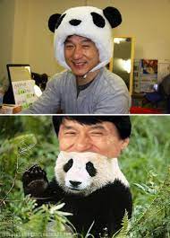 I Would Wear Both Hats Anytime Anywhere Jackie Chan Funny Pictures Best Funny Pictures