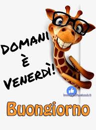 Domani E Venerdi Buongiorno Immagini Simpatiche Buongiorno Immagini Buongiorno Buongiorno Divertente