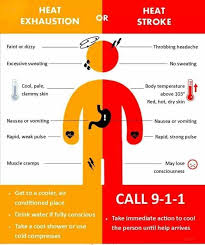 Cold sweats can be symptomatic of many illnesses. Beware Of Heat Exhaustion Heat Stroke Local Officials Say Agassiz Harrison Observer