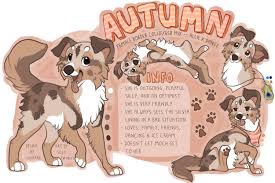 Autumn Reference By Naida4 Deviantart Com On Deviantart Cute Animal Drawings Dog Design Art Cute Drawings