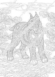 Coloring Pages Wildcat Lynx Bobcat Adult Coloring Pages Animal Coloring Pages Digital Jpg Pdf Coloring Page Instant Download Print Animal Coloring Pages Coloring Pages Adult Coloring Pages