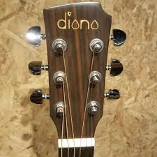 Jangan juga beli yg sangat mahal. Buy Diana 41 Eq Inch Natural Dn Dc Acoustic Guitar With Pickup Eq Yamaha Pickguard F310 Fender Ibanez Taylor Martin Seetracker Malaysia