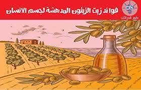 لشجرة الزيتون الكثير من الفوائد الصحية فهي تعتبر مصدرا للمضادات الحيوية في اوراقها وثمارها طحن الاوراق وتناول جرعات comic book cover book cover comic books
